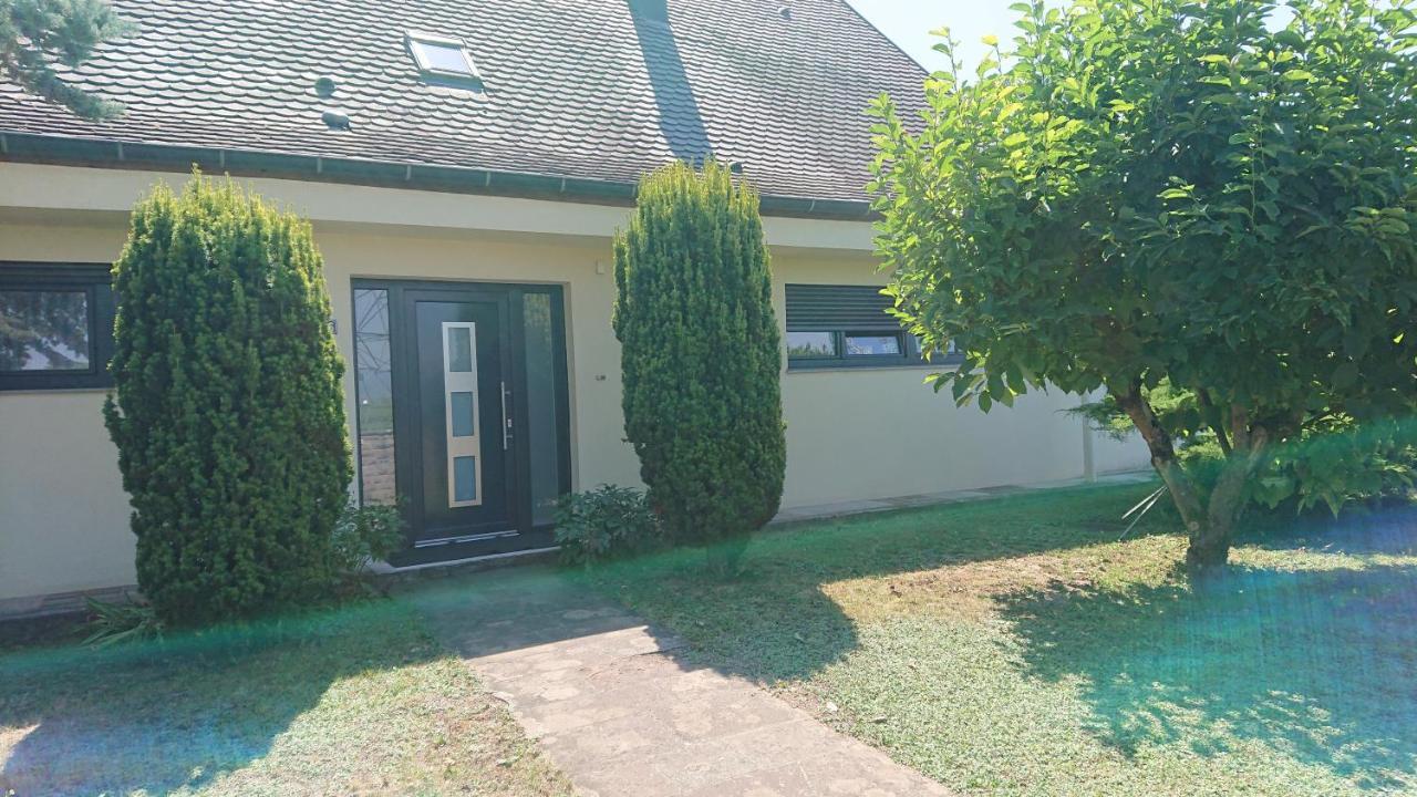 Logement Entier: Route Des Vins.Wintzenheim Apartment Exterior photo